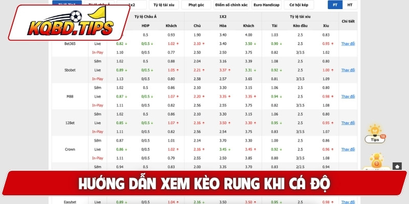 Hướng dẫn xem kèo rung khi cá độ